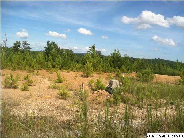 Old Acton Road, Unit 55 Moody, AL 35004 - Photo 5 of 9