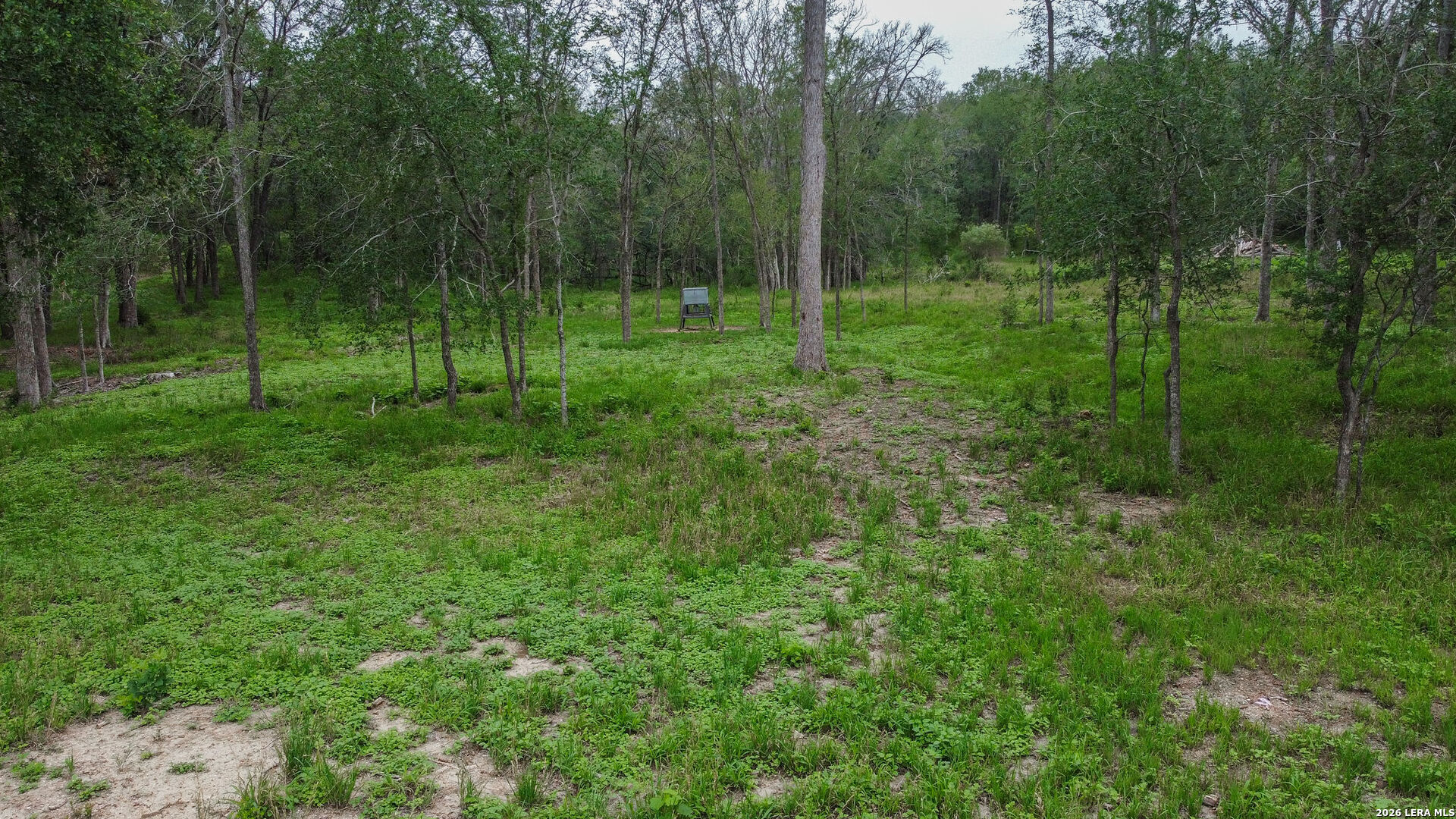 Tbd Chickasaw Centre Seguin, TX 78155 - Photo 8 of 15 a view of a park
