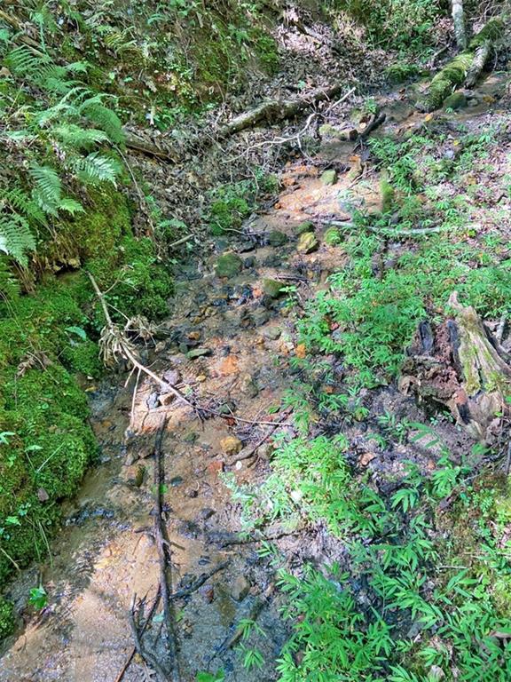 1556 Syrup Mill Road Dahlonega, GA 30533 - Photo 17 of 20