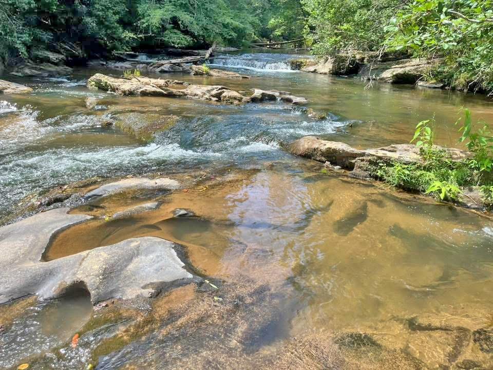 1556 Syrup Mill Road Dahlonega, GA 30533 - Photo 18 of 20