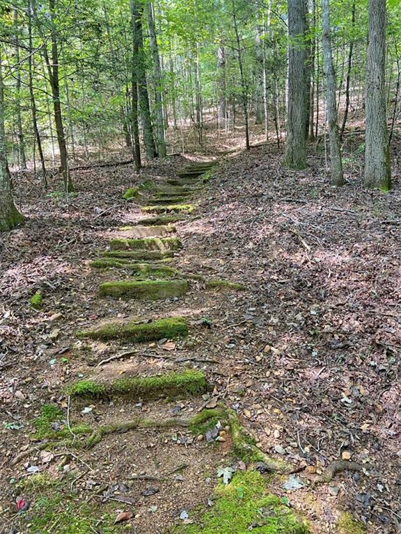 1556 Syrup Mill Road Dahlonega, GA 30533 - Photo 4 of 20