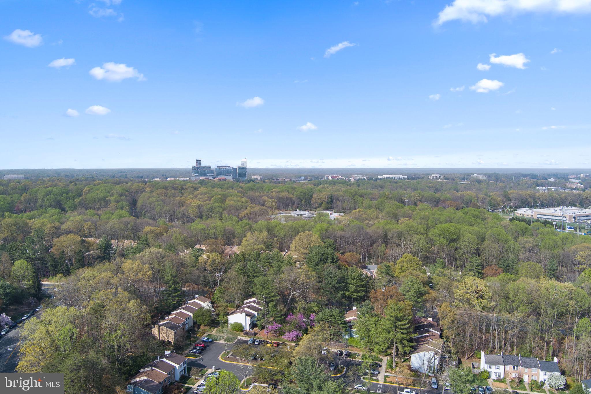 11530 Ivy Bush Court Reston, VA 20191 - Photo 54 of 70 Gallery Image 54