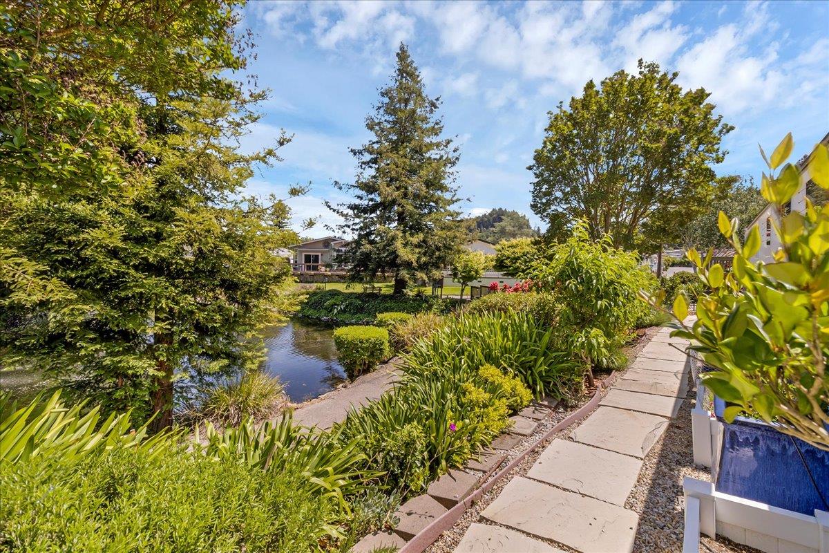 225 Mt Hermon Road, Unit 88 Scotts Valley, CA 95066 - Photo 37 of 50 a close up of a flower in a garden
