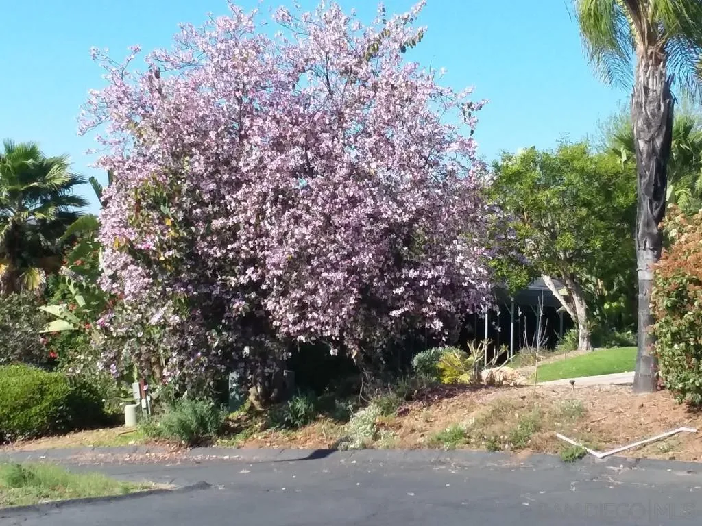 2585 Reed Road Escondido, CA 92027 - Photo 33 of 41 Gallery Image 33