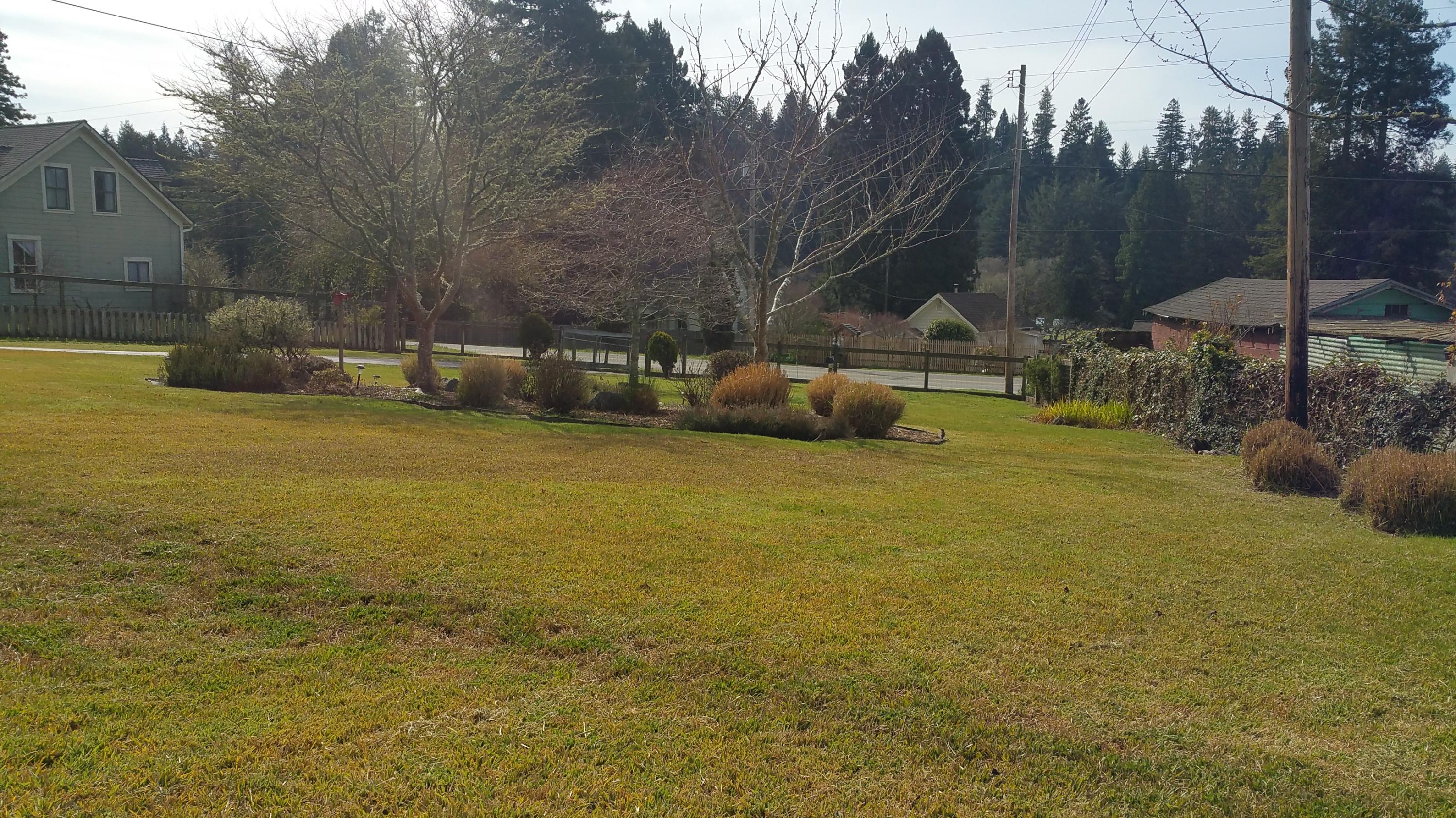 2297 Freshwater Road Eureka, CA 95503 - Photo 16 of 37 Front yard on West side
