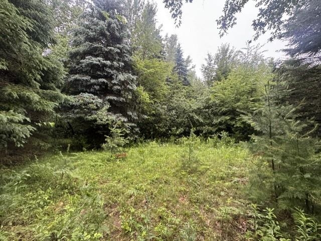 Elmwood Rd Green Green Bay, WI 54313 - Photo 5 of 16