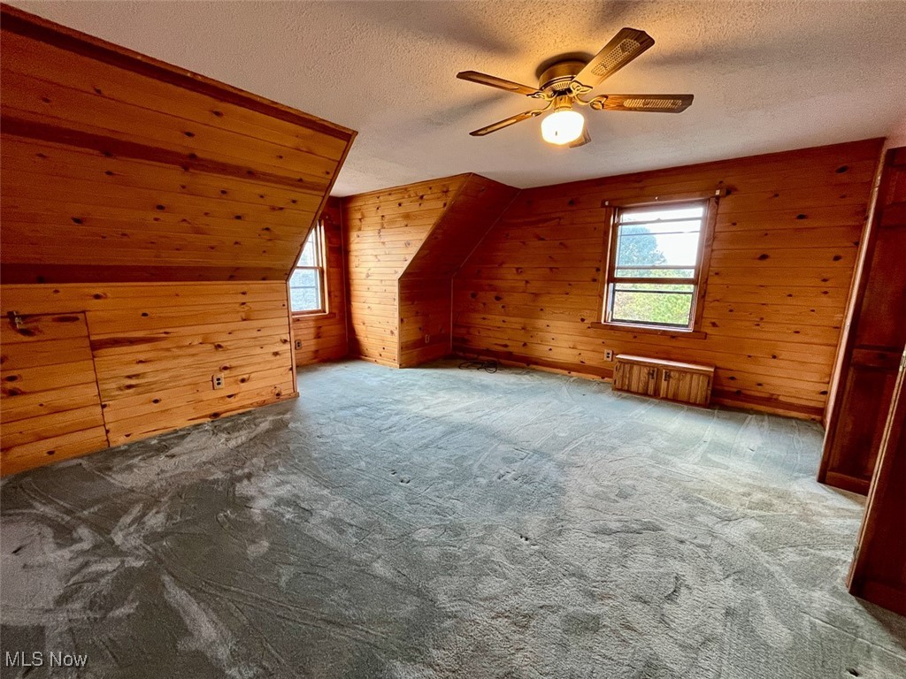 5991 Sandy Ridge Road Southeast Tippecanoe, OH 44699 - Photo 28 of 34 Additional living space with wood walls, plenty of natural light, carpet flooring, a textured ceiling, and ceiling fan