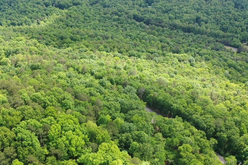 25 Bluffs Road North Guild, TN 37340 - Photo 22 of 25 Gallery Image 22