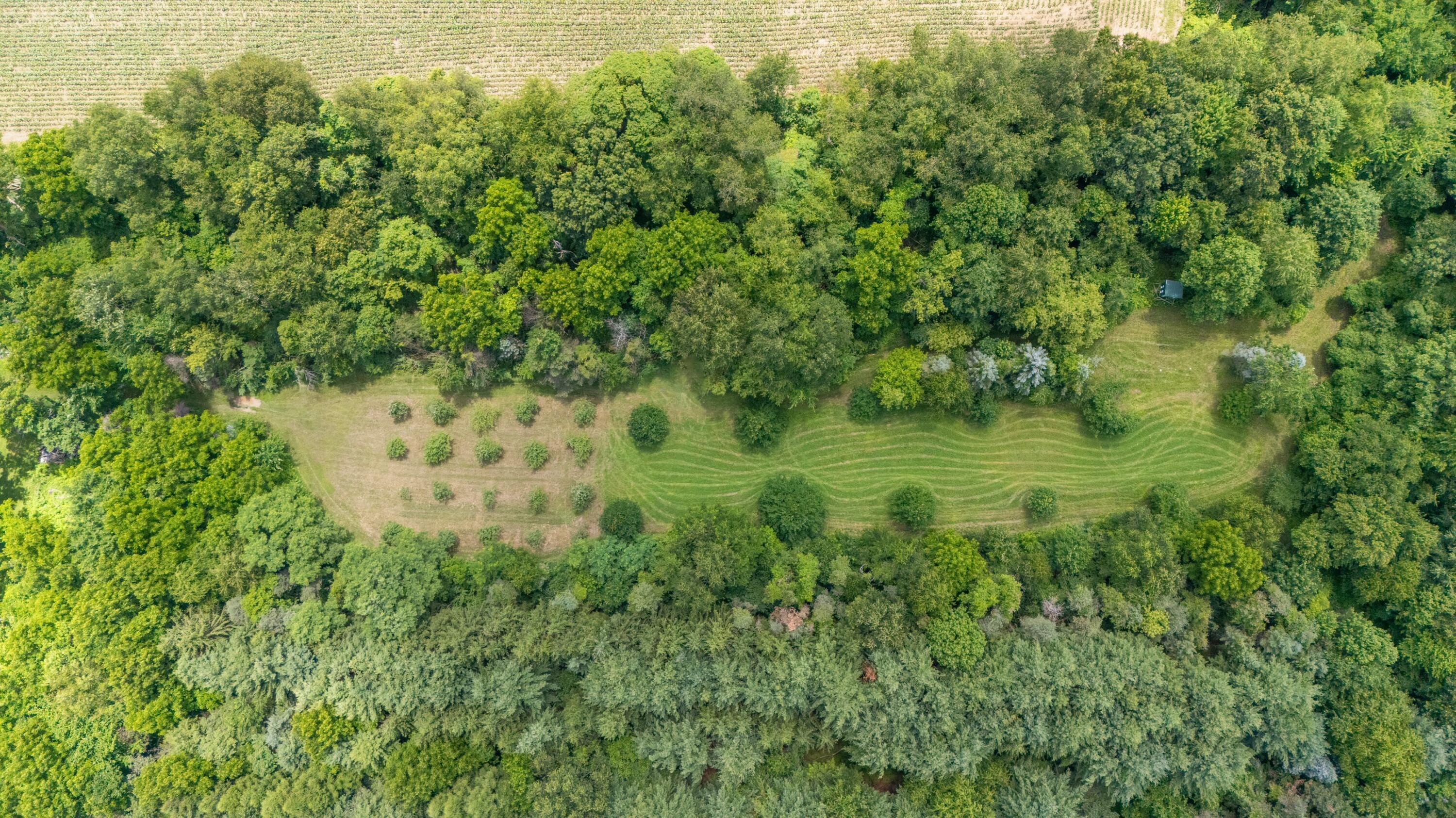 52402 Oak Plains Road Marcellus, MI 49067 - Photo 5 of 59 20DJI_20260626020443_0038_D