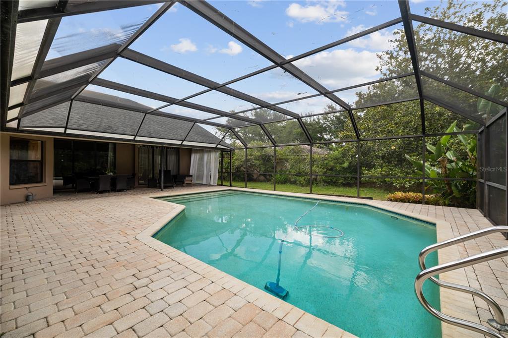 3372 Brian Road South Palm Harbor, FL 34685 - Photo 35 of 45 a view of a backyard