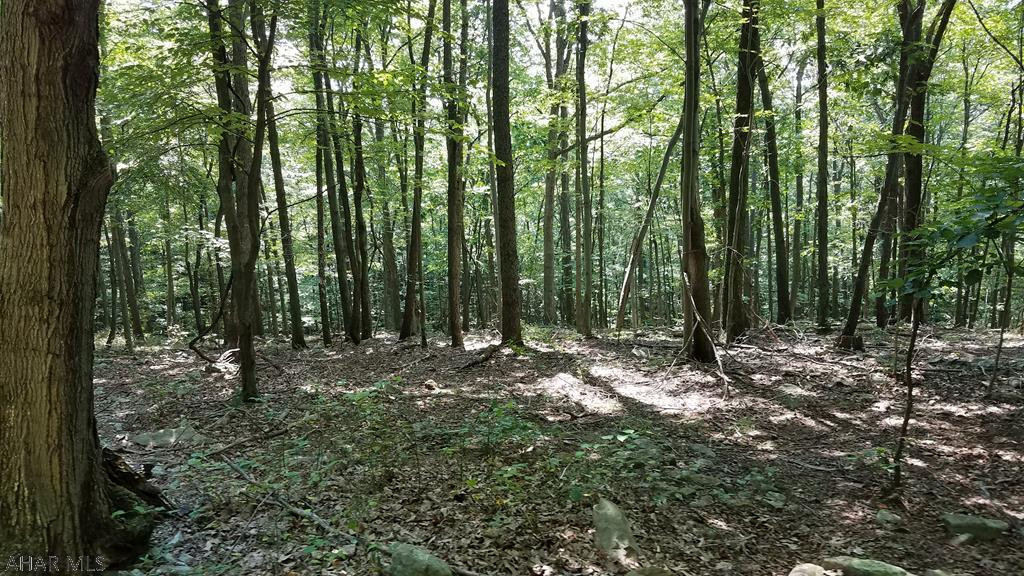 234 Martin Farm Road Six Mile Run, PA 16679 - Photo 16 of 16 Gallery Image 16