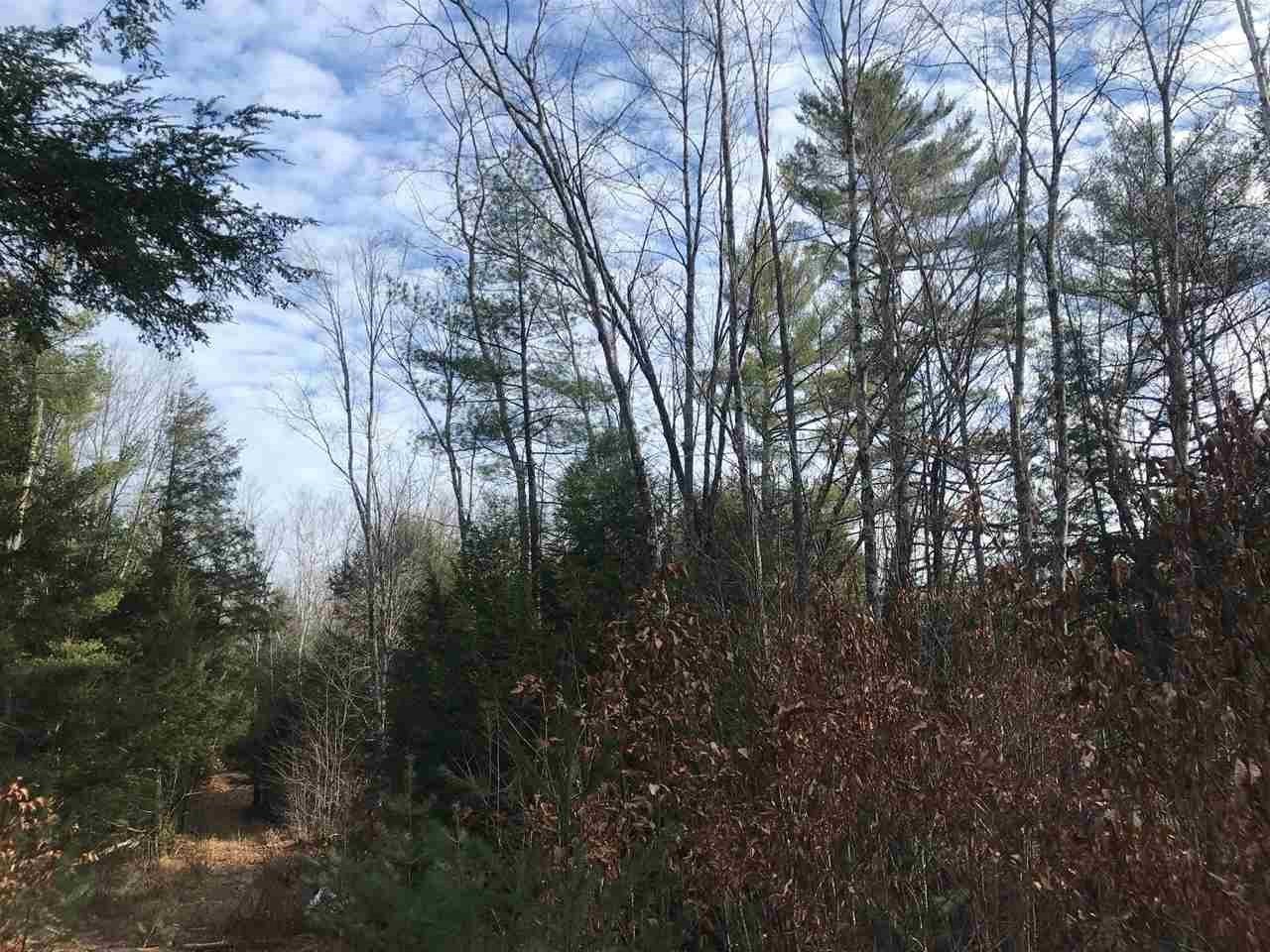 0 Dog Road Limington, ME 04049 - Photo 2 of 11 Gallery Image 2