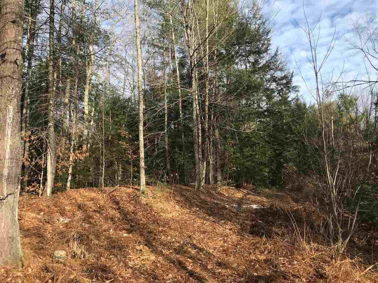 0 Dog Road Limington, ME 04049 - Photo 11 of 11 Gallery Image 11