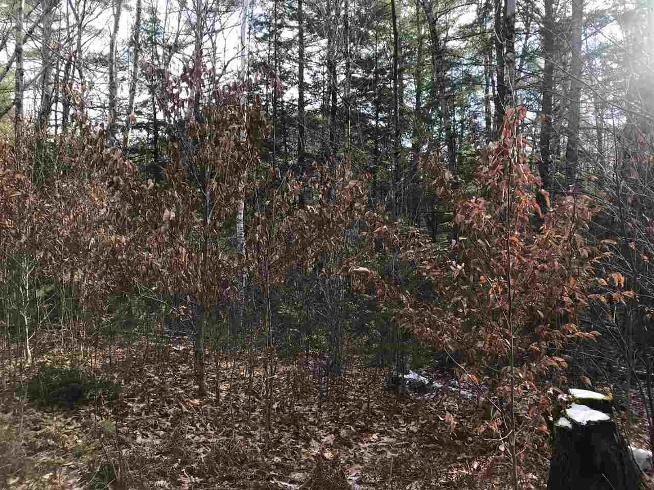 0 Dog Road Limington, ME 04049 - Photo 3 of 11 Gallery Image 3