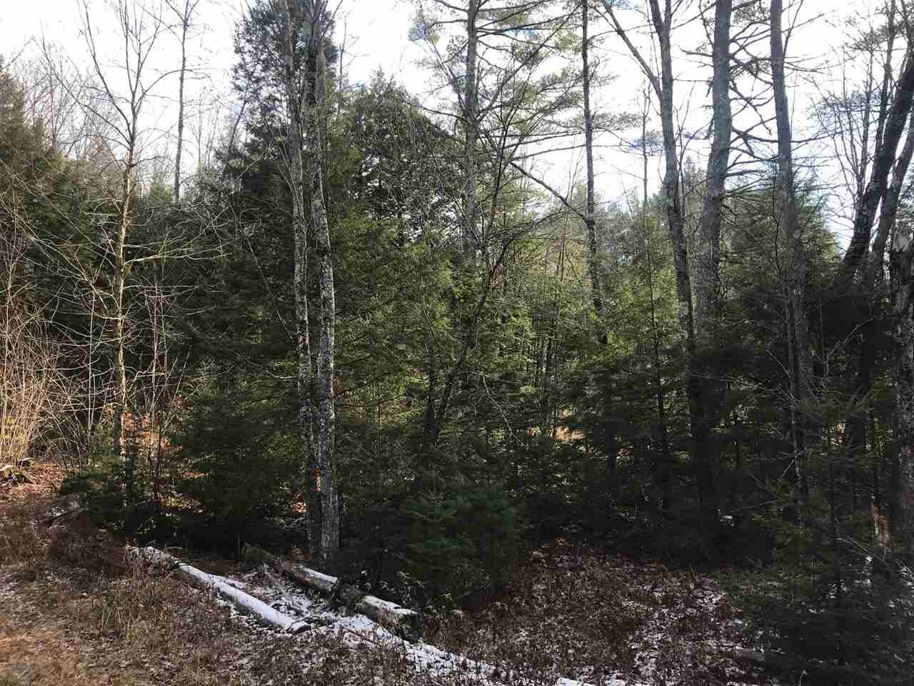 0 Dog Road Limington, ME 04049 - Photo 4 of 11 Gallery Image 4