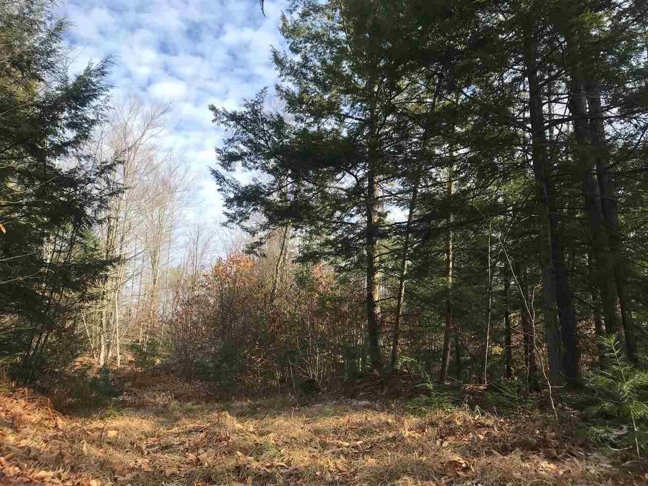 0 Dog Road Limington, ME 04049 - Photo 5 of 11 Gallery Image 5