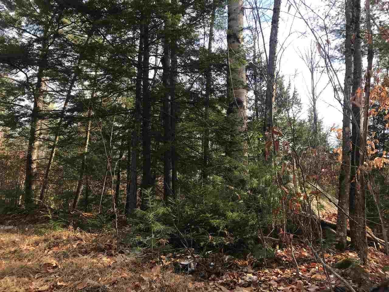 0 Dog Road Limington, ME 04049 - Photo 6 of 11 Gallery Image 6