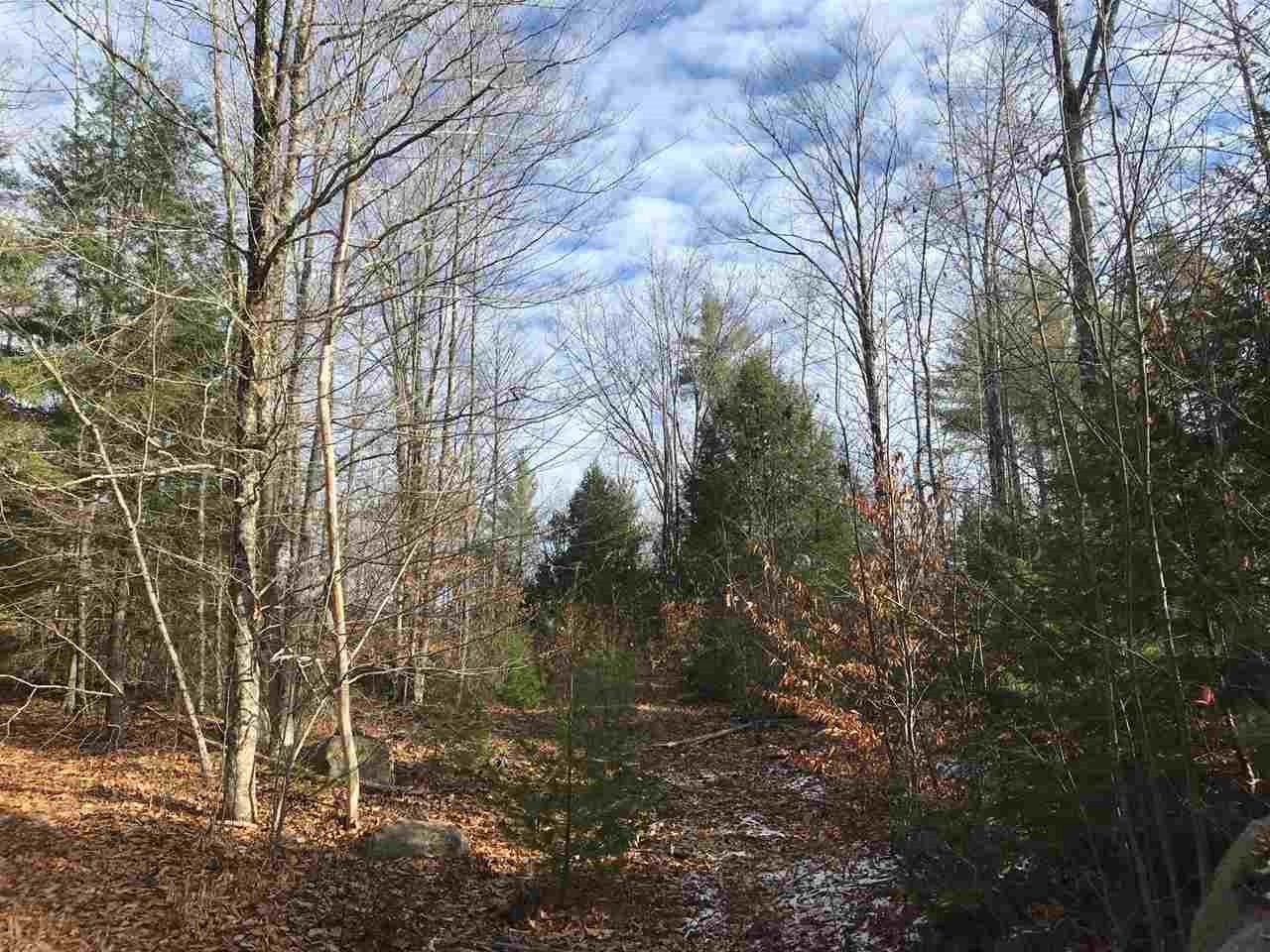 0 Dog Road Limington, ME 04049 - Photo 7 of 11 Gallery Image 7