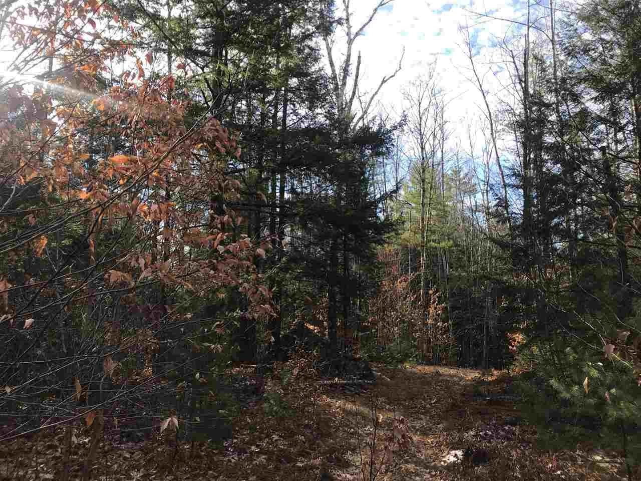 0 Dog Road Limington, ME 04049 - Photo 8 of 11 Gallery Image 8