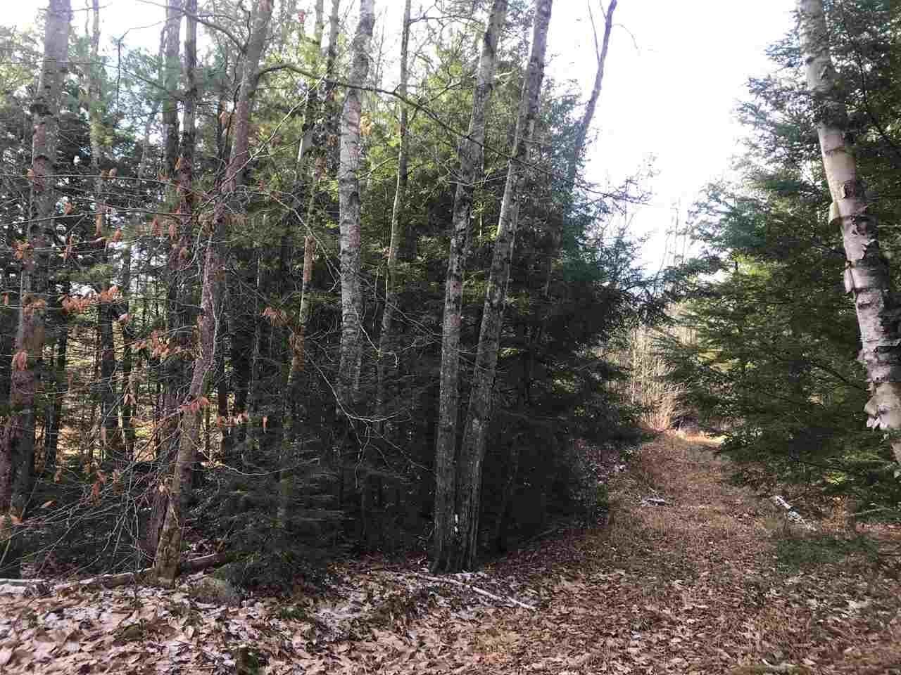 0 Dog Road Limington, ME 04049 - Photo 9 of 11 Gallery Image 9