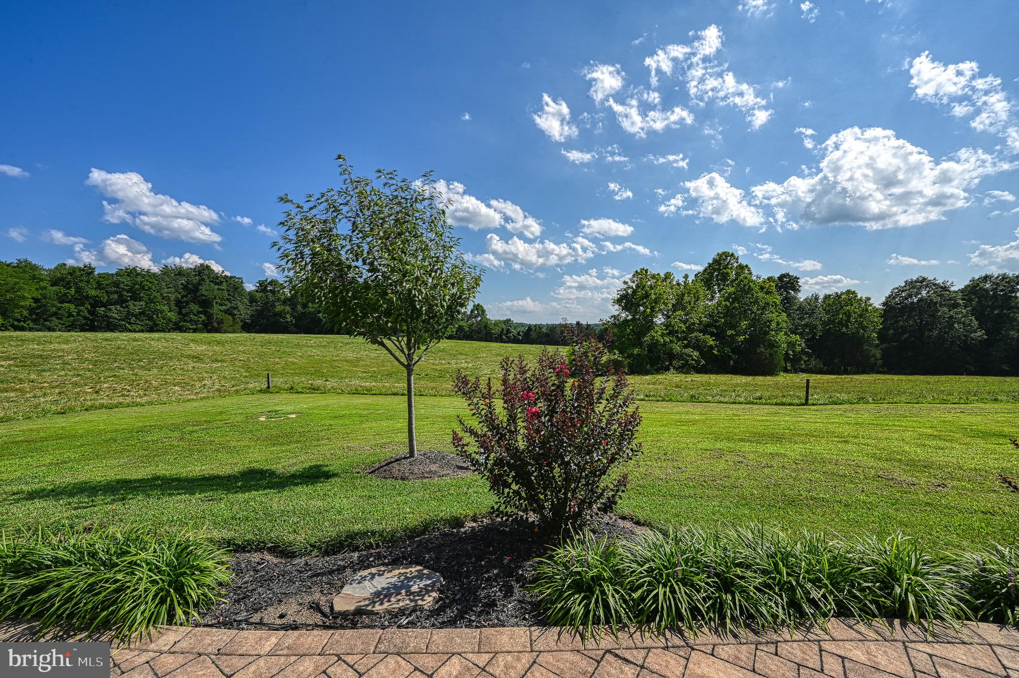 19960 Bennet Farm Road Orange, VA 22960 - Photo 49 of 112 Gallery Image 49