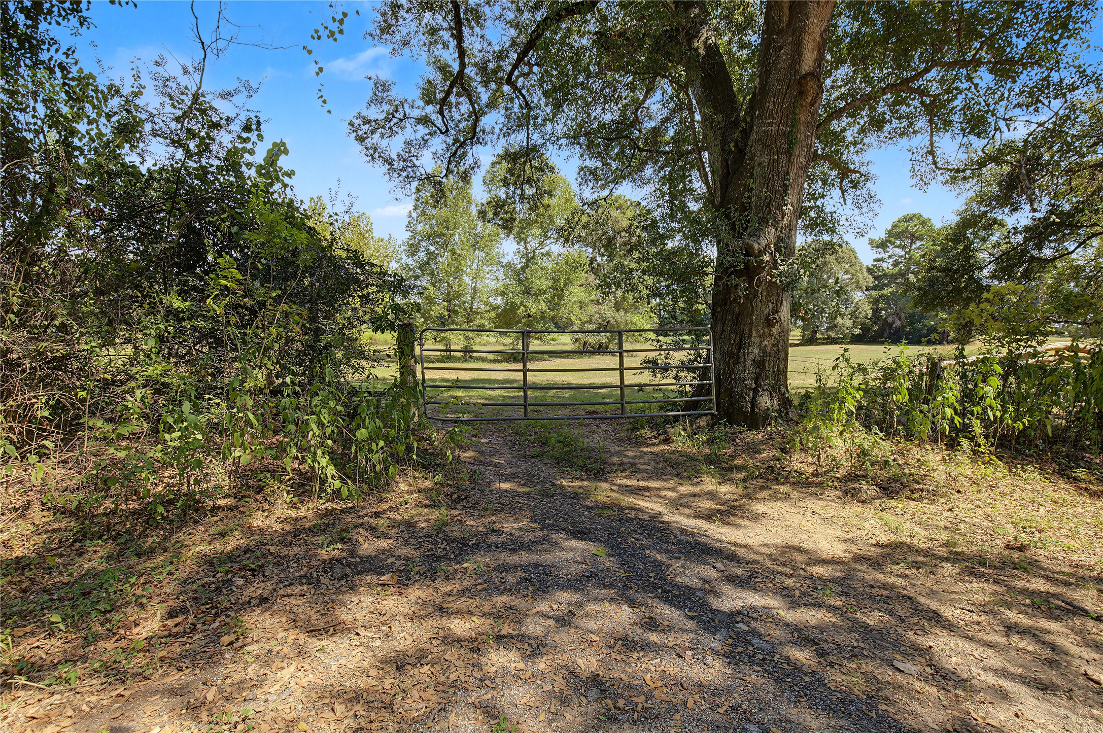 13111 Shepard Hill Road Willis, TX 77318 - Photo 14 of 15 Gallery Image 14