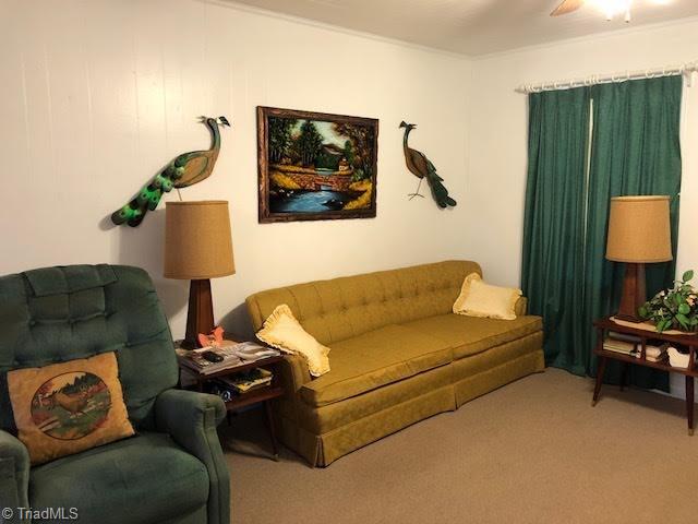 1119 Blue Ridge Purlear, NC 28665 - Photo 29 of 31 Gallery Image 29