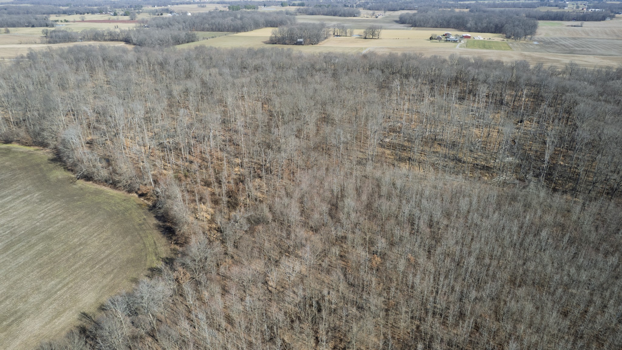 0 Lakeview Road Springfield, TN 37172 - Photo 6 of 16