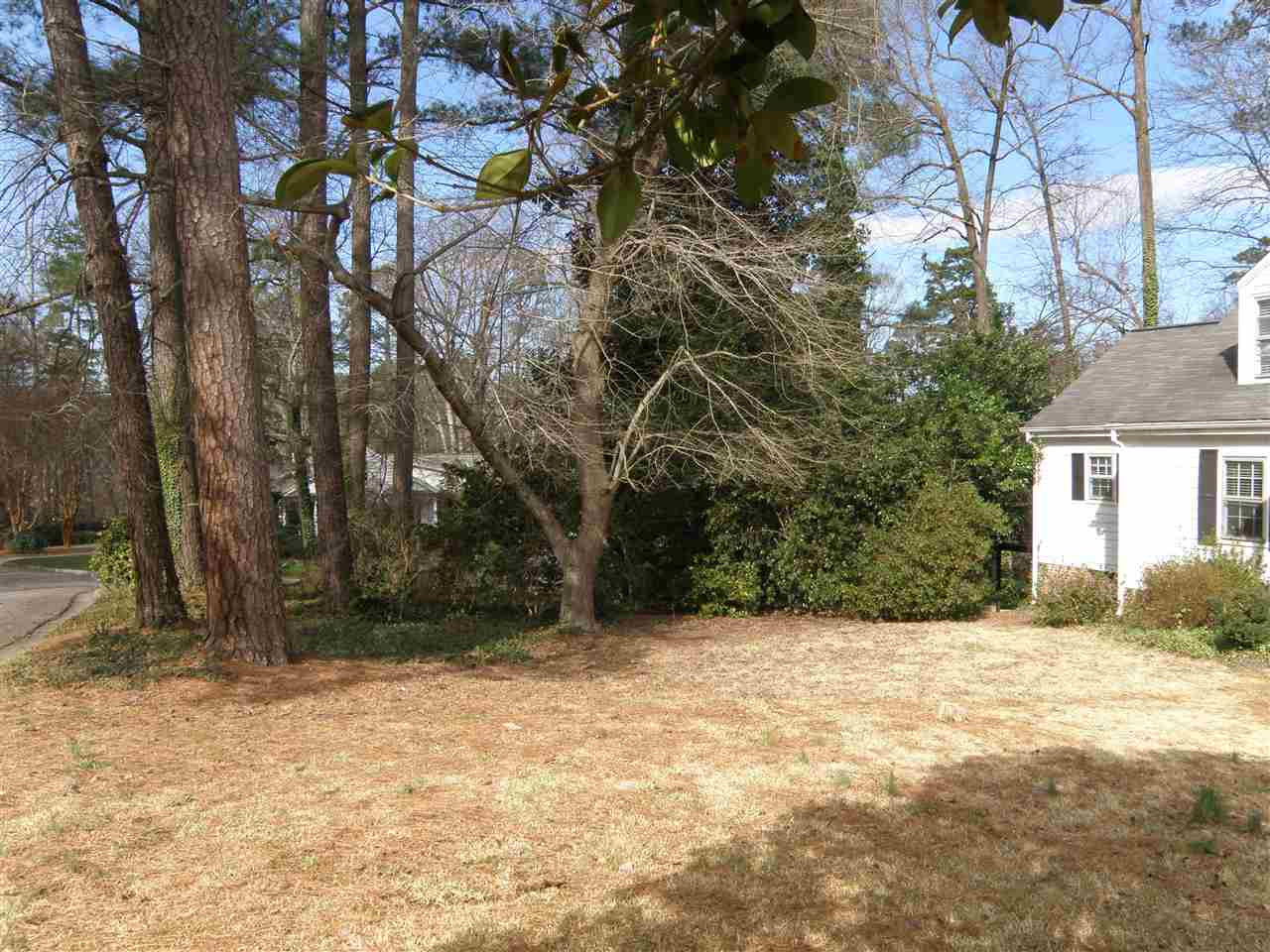 Front yard