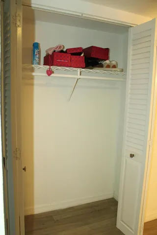 a view of walk in closet