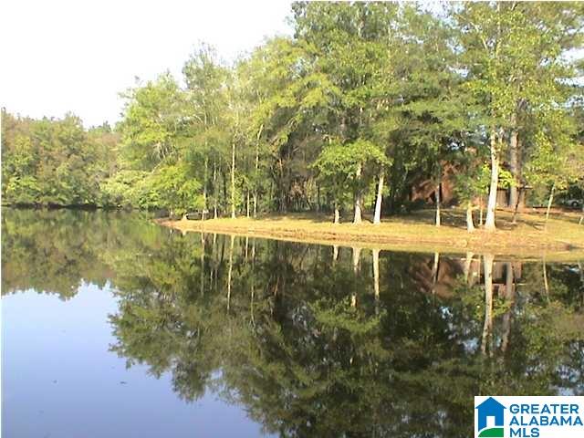 Sycamore Road, Unit 125 Columbiana, AL 35051 - Photo 1 of 14