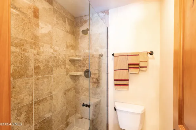 a bathroom with a shower and a toilet
