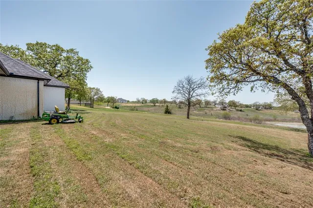 a view of a yard with an tree