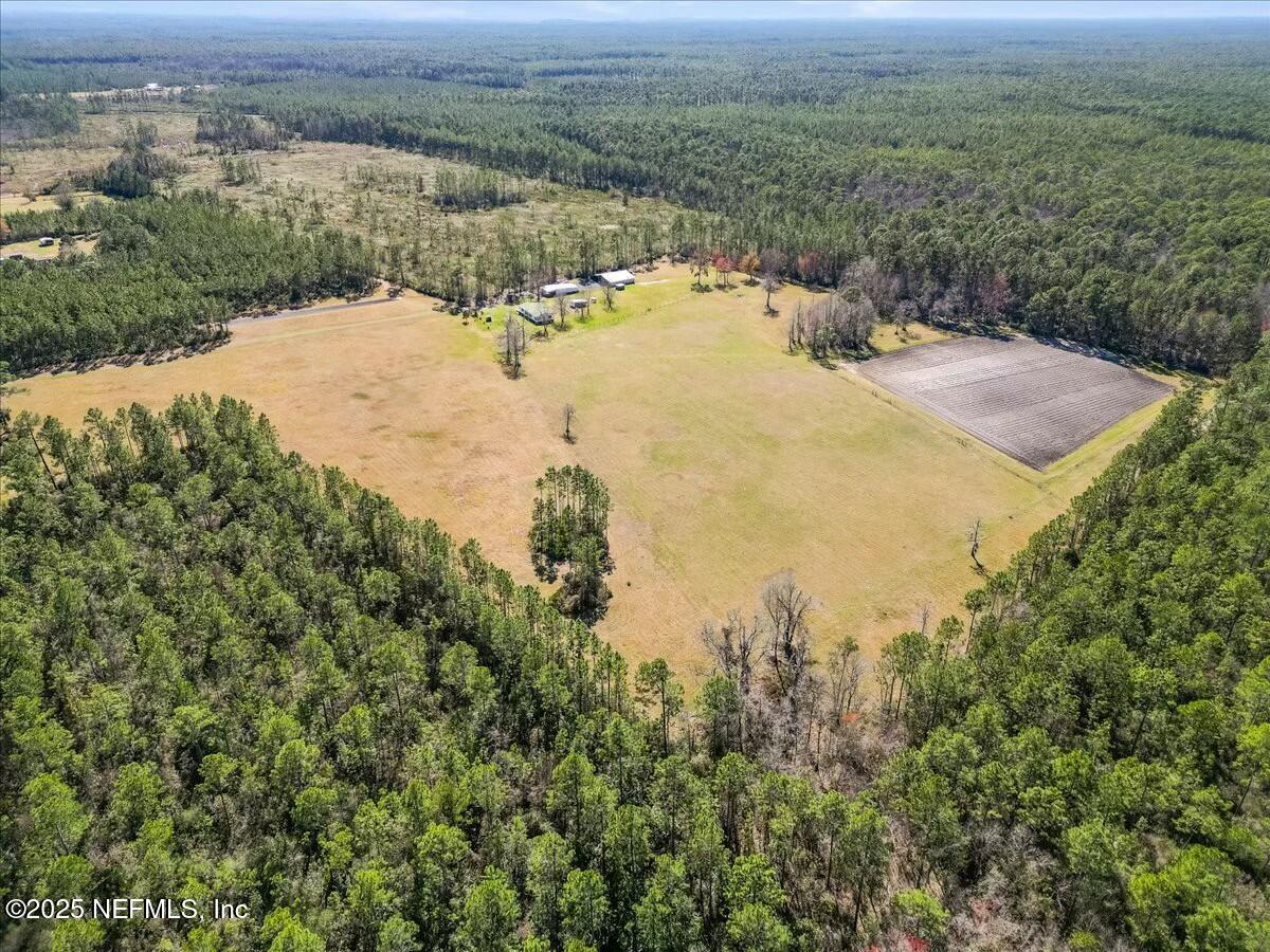 18436 Noah Raulerson Road Sanderson, FL 32087 - Photo 45 of 58 tempImagexMXXTy
