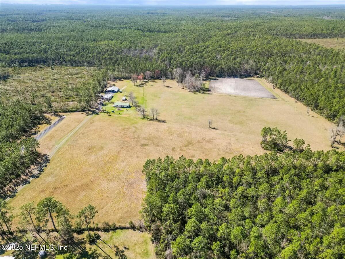 18436 Noah Raulerson Road Sanderson, FL 32087 - Photo 46 of 58 tempImageCGTMK6