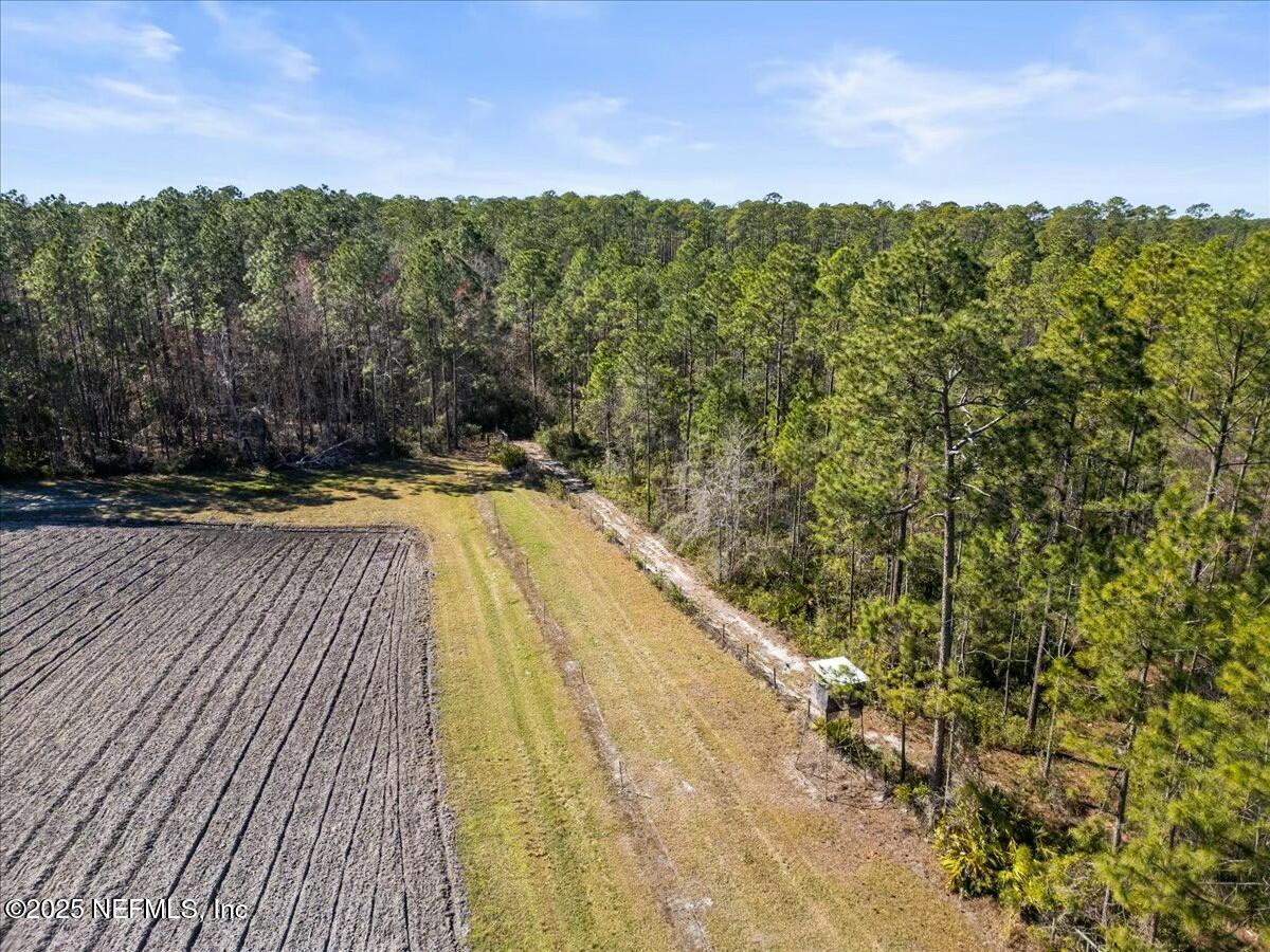 18436 Noah Raulerson Road Sanderson, FL 32087 - Photo 52 of 58 tempImagem1yfHB