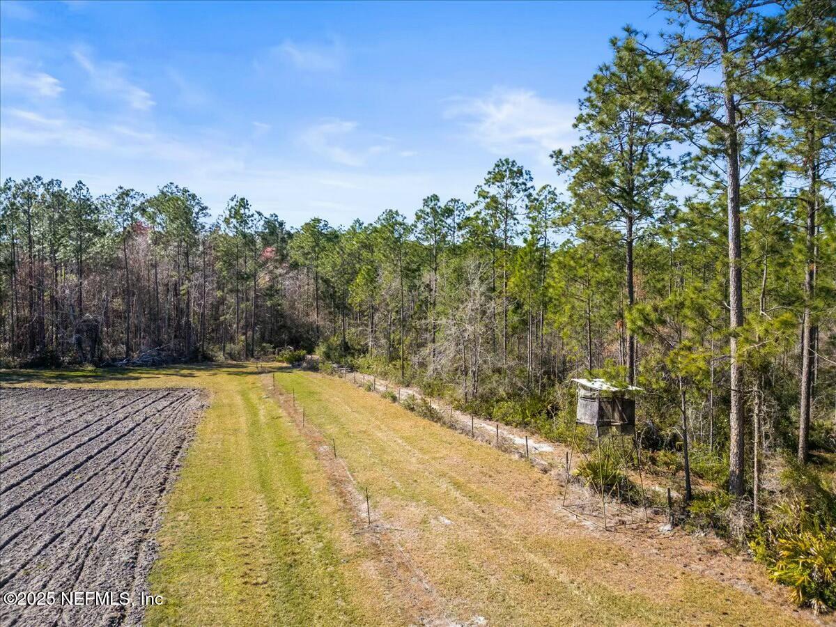 18436 Noah Raulerson Road Sanderson, FL 32087 - Photo 53 of 58 tempImage4eP9FV