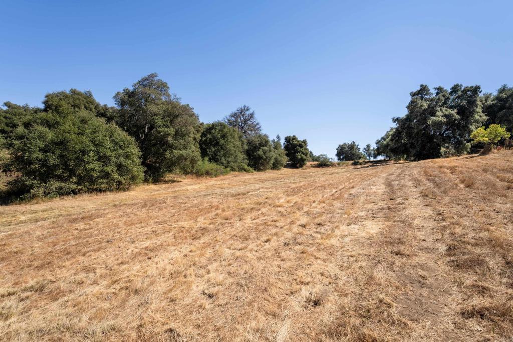 25770 East Grade Road Santa Ysabel, CA 92070 - Photo 51 of 75 a view of a yard with a tree