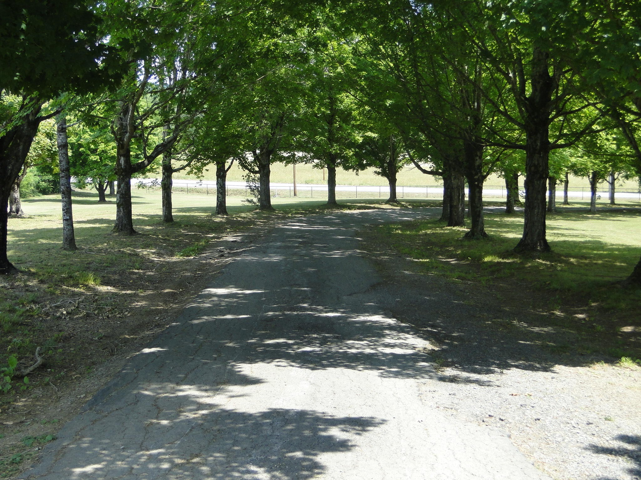 14785 Highway 58, Unit 58 Decatur, TN 37322 - Photo 8 of 37 Gallery Image 8