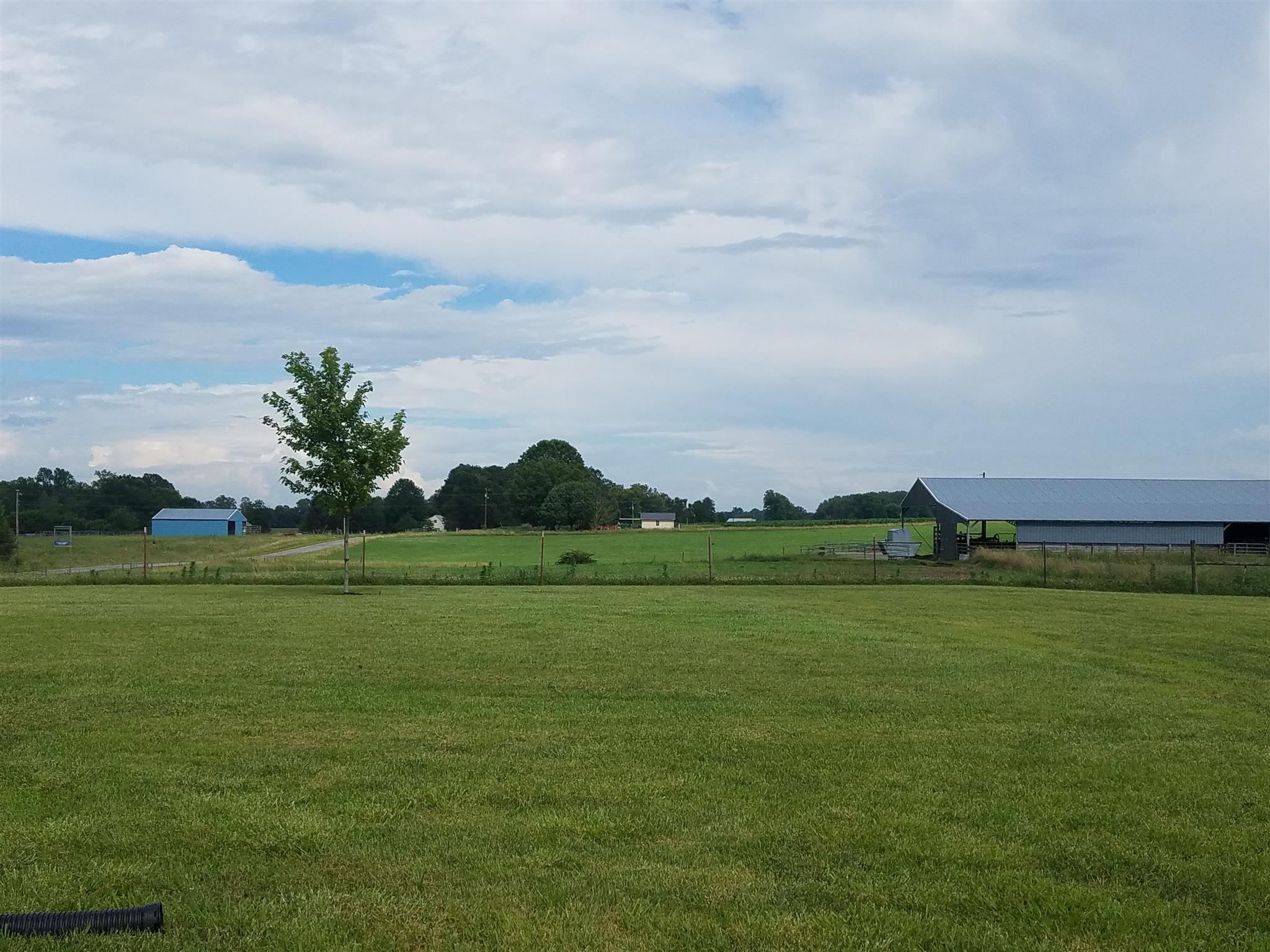 346 Petty Road Manchester, TN 37355 - Photo 20 of 30 View from Backyard.