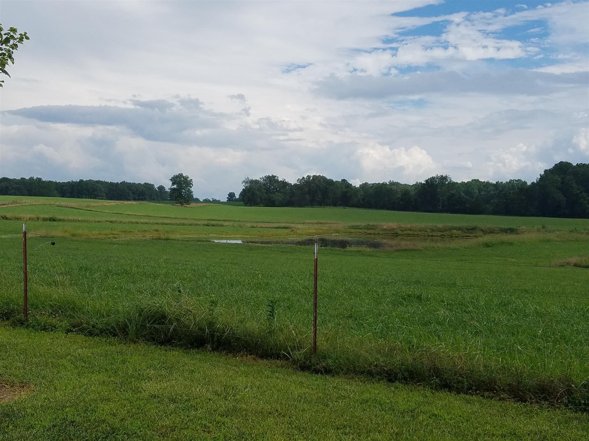 346 Petty Road Manchester, TN 37355 - Photo 22 of 30 Another View from Your Sunroom.