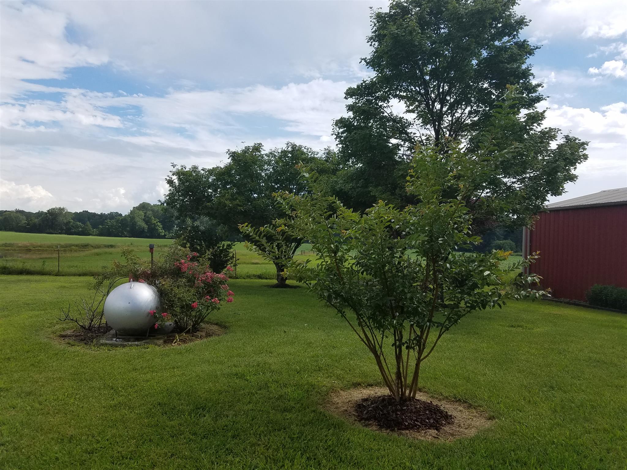 346 Petty Road Manchester, TN 37355 - Photo 23 of 30 Just a Sample of the Beautiful Trees & Landscaping.