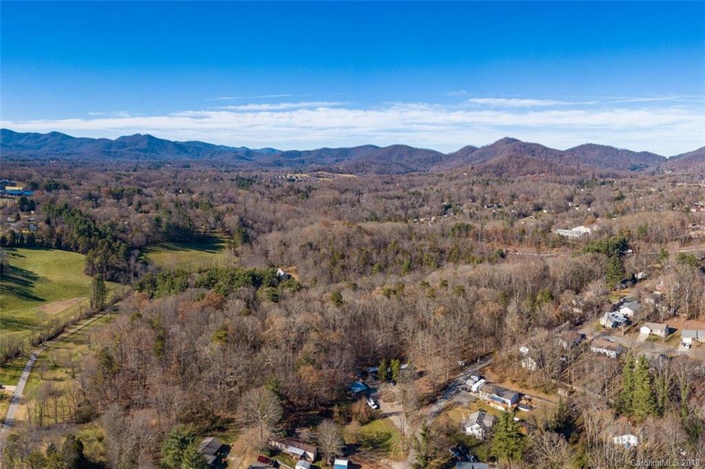 169 Lower Edgewood Road Candler, NC 28715 - Photo 3 of 7 Gallery Image 3