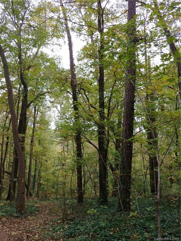 169 Lower Edgewood Road Candler, NC 28715 - Photo 6 of 7 Gallery Image 6