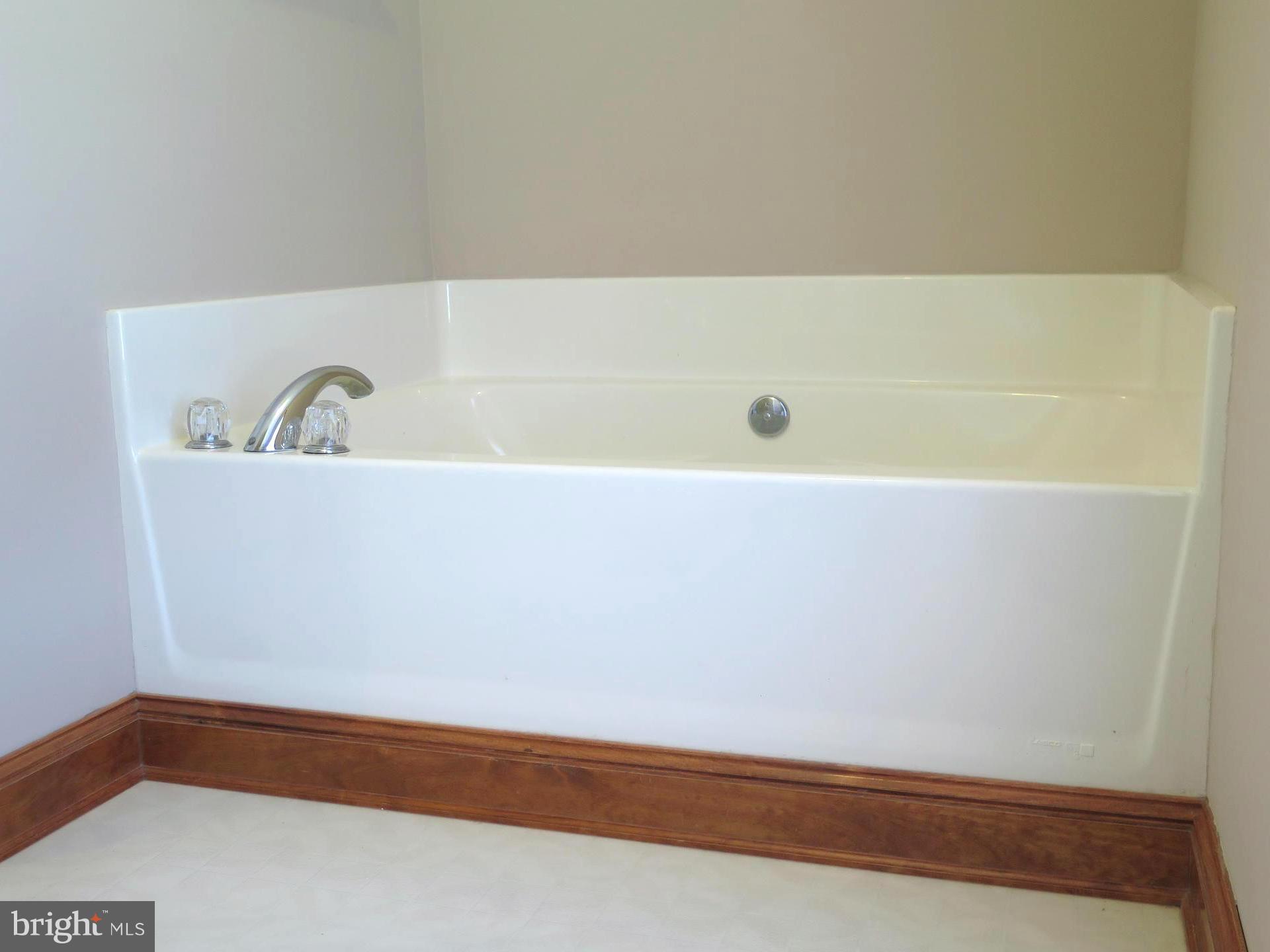 24001 Batna Road Lignum, VA 22726 - Photo 11 of 17 Master has Soaking Tub with Separate Shower