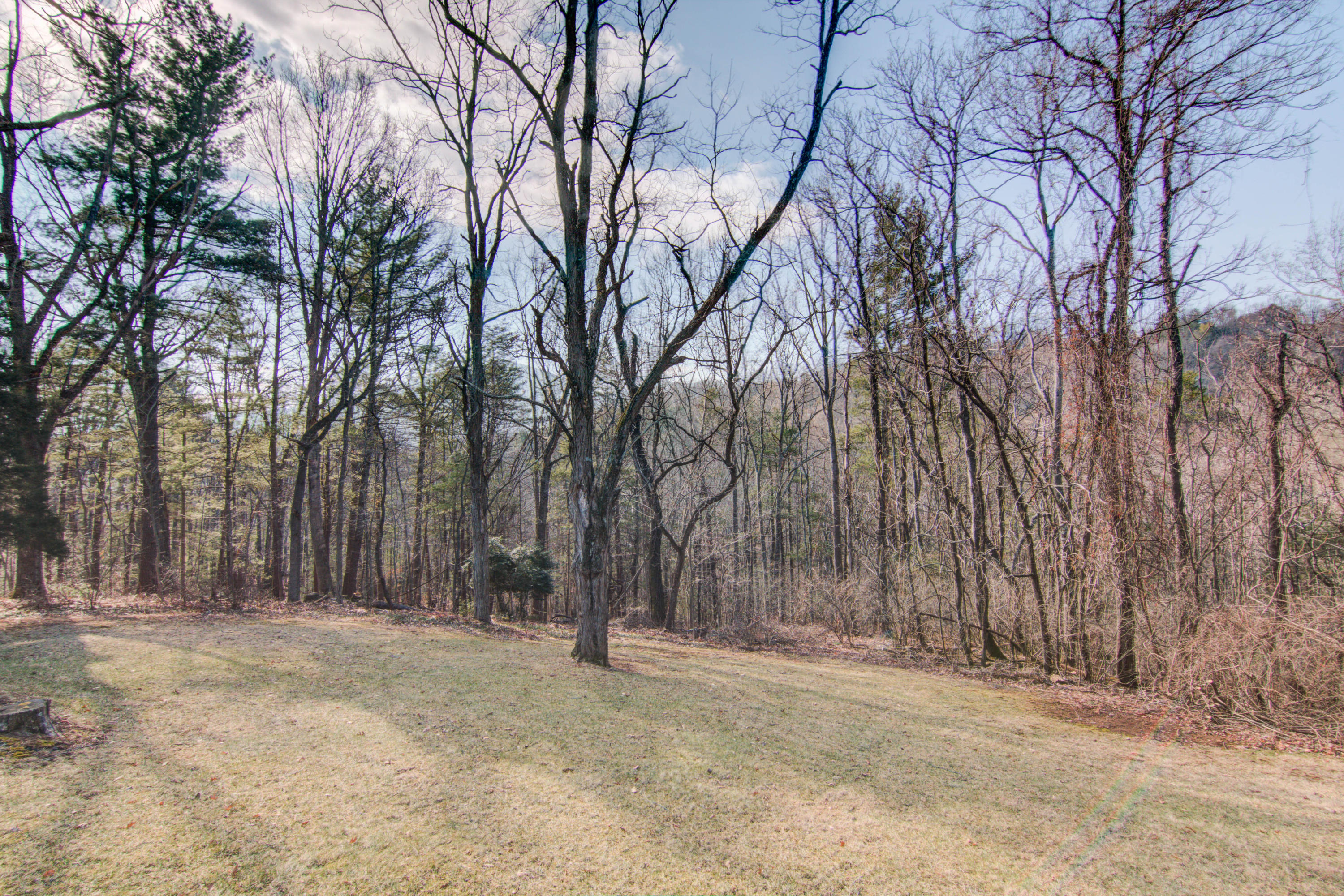 4606 Rosecrest Road Roanoke, VA 24018 - Photo 21 of 28 a backyard of a house with trees