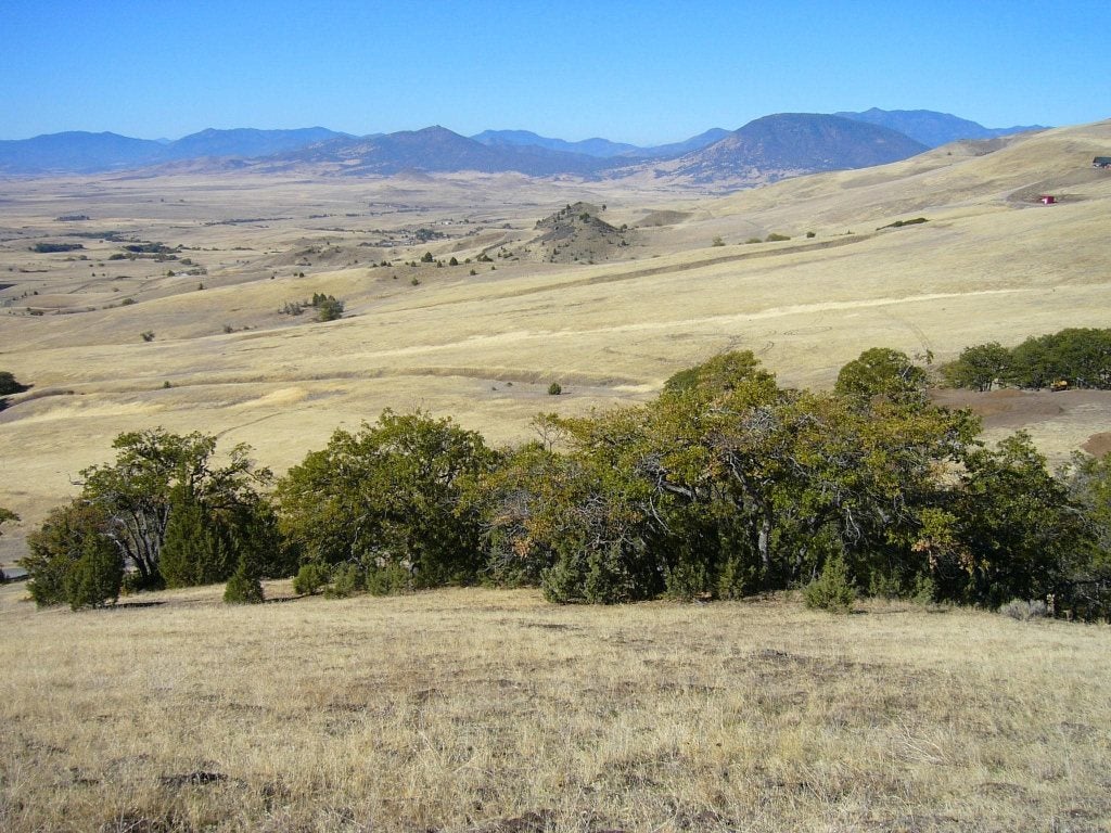 41 Acres Faith Road Montague, CA 96064 - Photo 9 of 14 Gallery Image 9