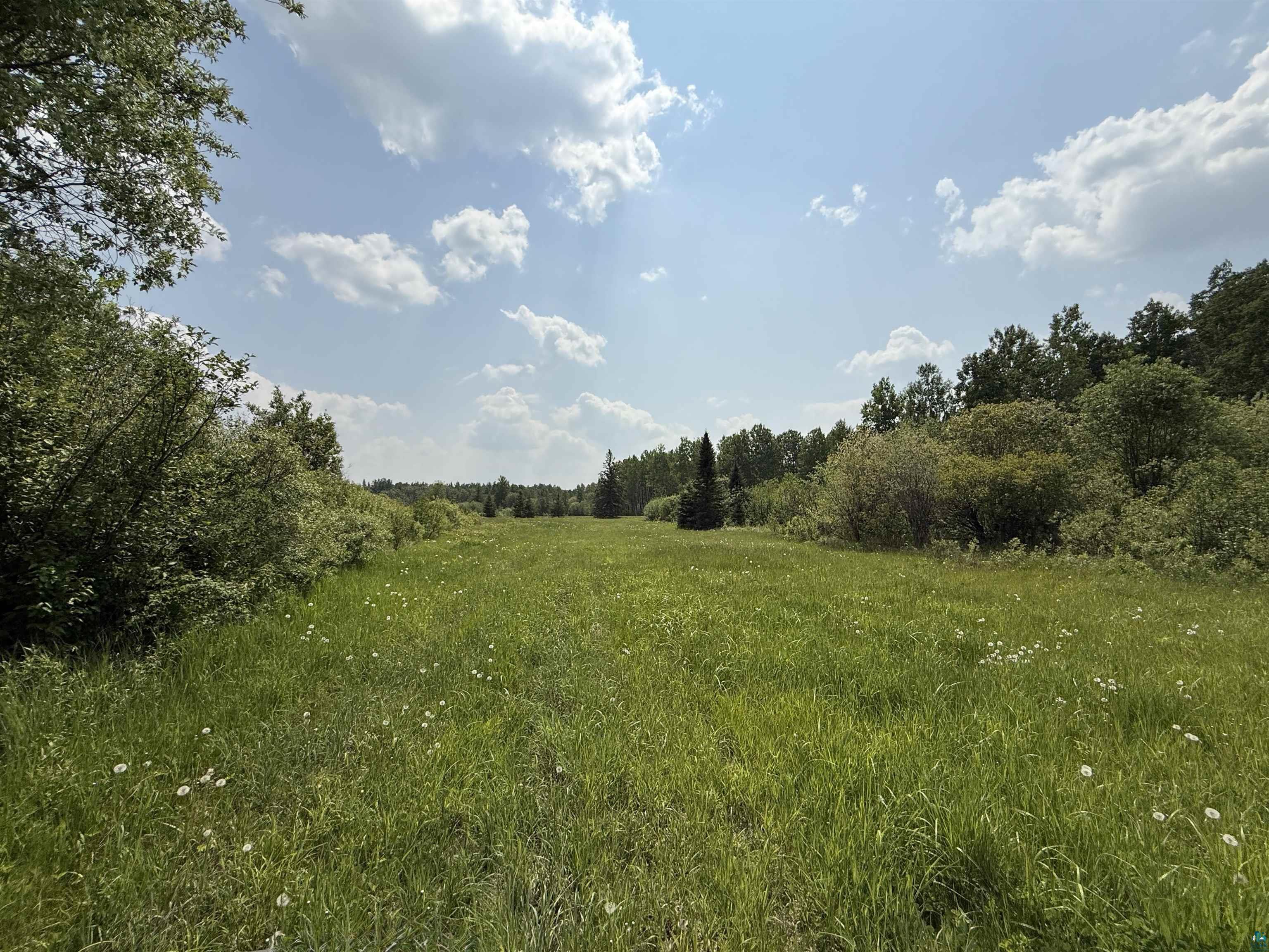 Tbd Samuelson Road Angora, MN 55703 - Photo 29 of 43 View of undeveloped land