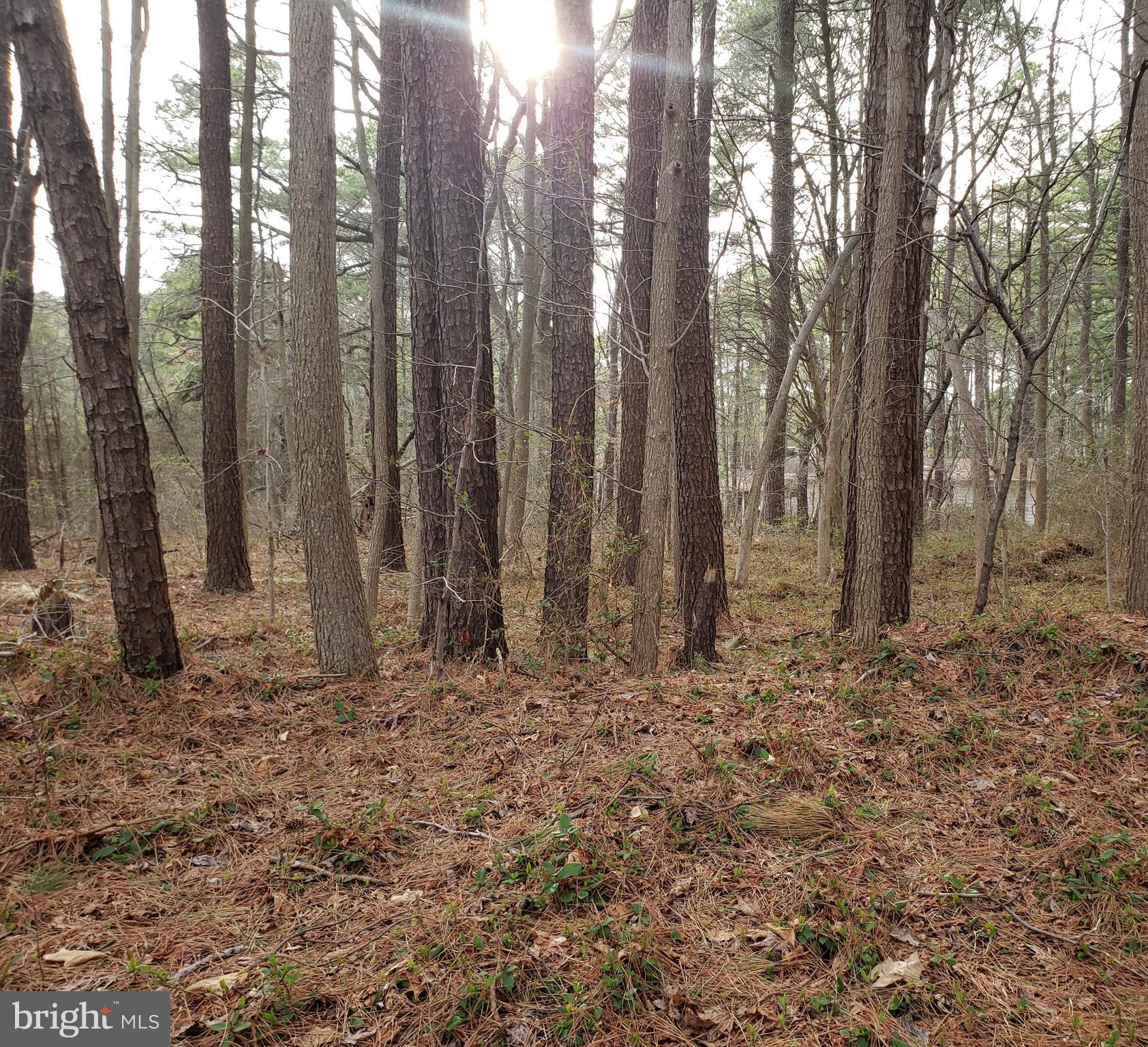Kent Road Stevensville, MD 21666 - Photo 1 of 2 Nice higher lot with possible water views.