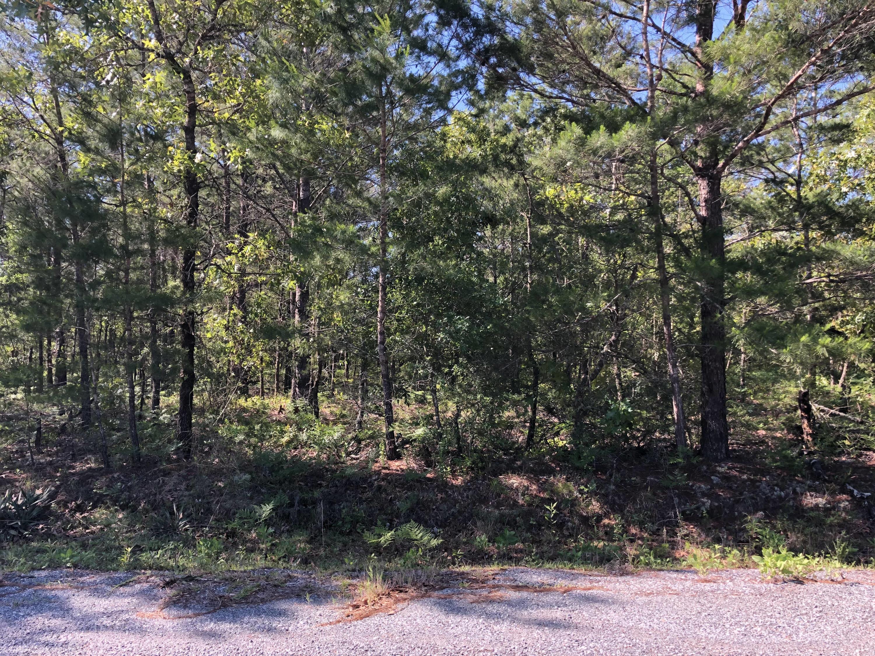 Tbd Tbd Iris Lane DeFuniak Springs, FL 32433 - Photo 2 of 3 a backyard of a house with lots of green space
